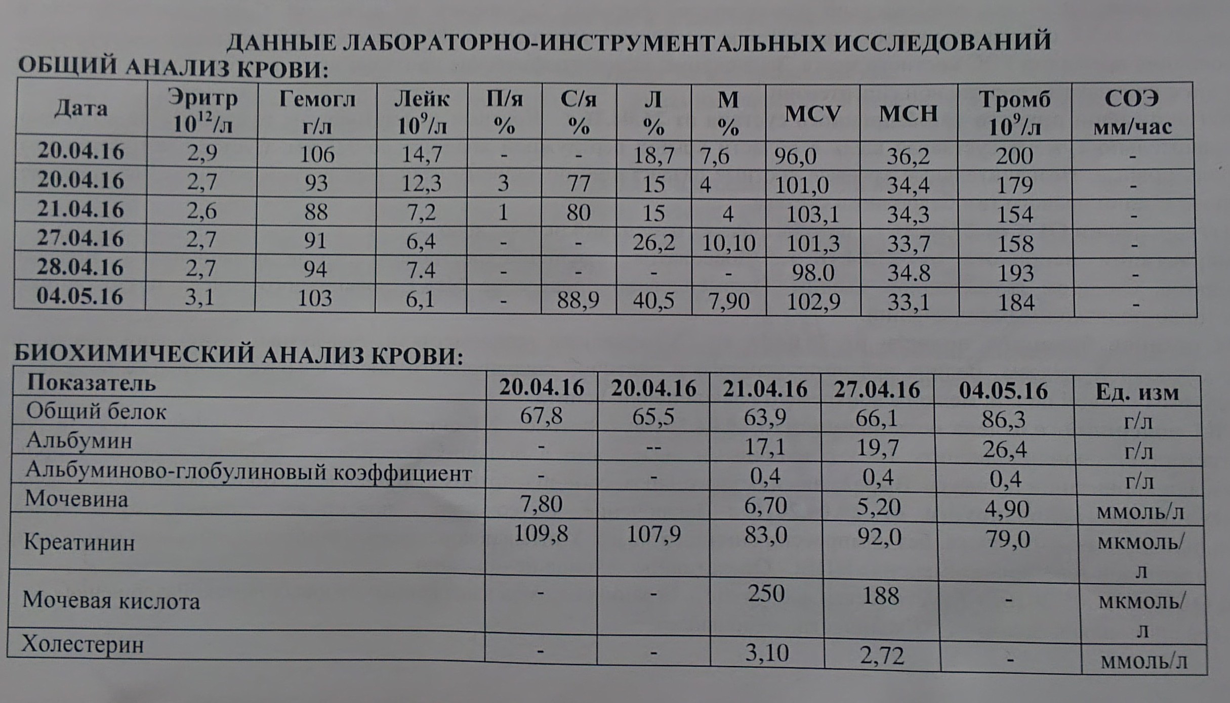 порно мамок в анализе крови фото 56