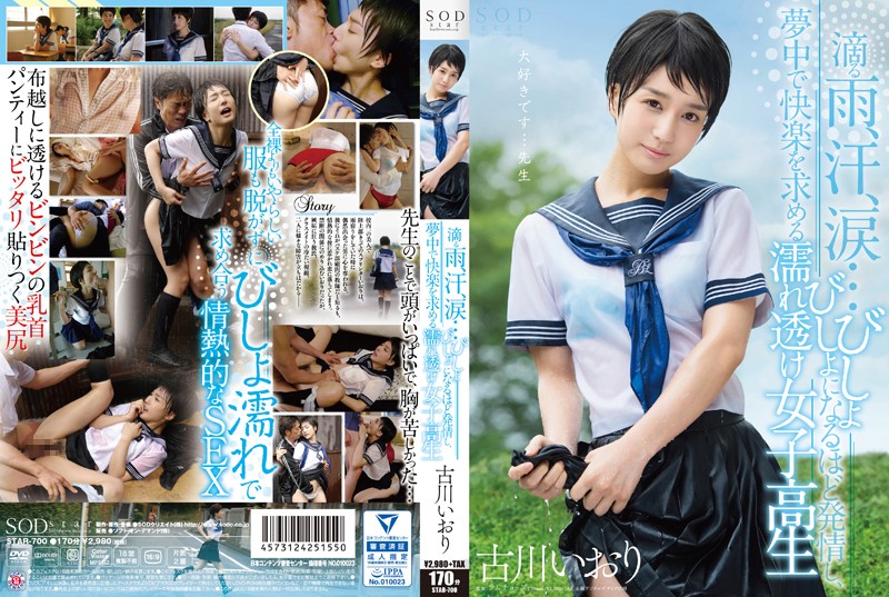 Kogawa Iori - Wet Clothing School Girls, Dripping Rain, Sweat, Tears ... Soaked In The More Estrus, Seek The Crazy Pleasure